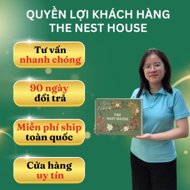 Set Trà Hoa Thảo Mộc 6 vị - Quà tặng người thân, hộp túi The Nest House, 286.000 VND 9