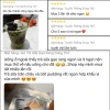 Set Trà Sữa Gạo Rang Nhật Tiệm Bee 15 ly Hương vị thơm ngon giảm còn 89.000₫ 4