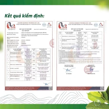 Set Trà Tết Hóa Tốc kèm Hạt Điều - Quà Tặng Tết Giá Chỉ 30.000 VNĐ
