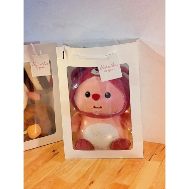 Set túi quà tặng gấu bông đèn LED Valentine 14/2 - 8/3 Noel sinh nhật, giá 87k