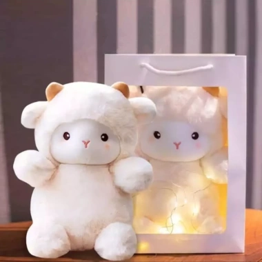 Set túi quà tặng gấu bông đèn LED Valentine 14/2 - 8/3 Noel sinh nhật, giá 87k 10 Set túi quà tặng gấu bông đèn LED Valentine 14/2 - 8/3 Noel sinh nhật, giá 87k 10