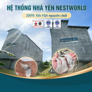 Set Yến Lộc Cát Tường Phiên Bản Tết - Sang Trọng, Giảm Giá 7.190.000 VND 6