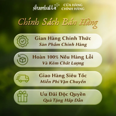 Shamballa Cốt Cà Ri Chuối Sáp – Ăn Chay Mặn Tròn Vị, Không Bột Ngọt, Không Phẩm Màu, Best Seller, Giá 127.000₫