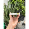 Sharp Leica Phone 1 1GB RAM 12/256GB Snapdragon 888 pin 5.000mAh 240Hz - Giá 4.69 triệu 6