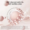 SheDella Palette 4 Màu Tạo Khối và Highlight 3D Tự Nhiên - Tone Chuẩn, Sáng Bền Lâu, 3.5g, Giao Hàng 24h, Giá 298.878 5