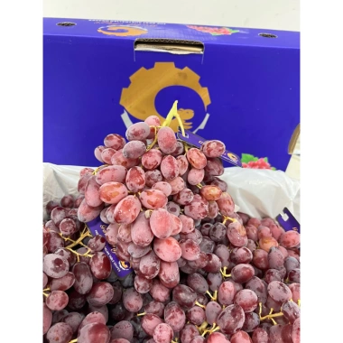 Ship Hỏa Tốc Nho Đỏ Úc 1KG Không Hạt Siêu Ngọt - Giá Ưu Đãi 299k