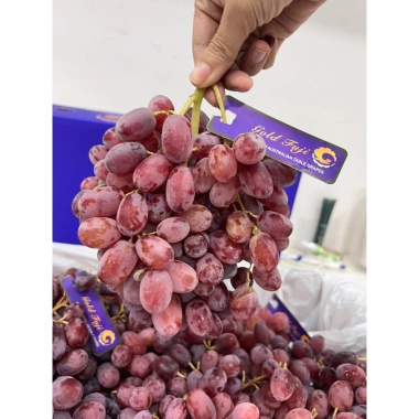 Ship Hỏa Tốc Nho Đỏ Úc 1KG Không Hạt Siêu Ngọt - Giá Ưu Đãi 299k