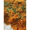Sỉ 1 thùng gà lá chanh 5kg nguyên bịch - Tươi ngon, chỉ 950.000đ (giá gốc 1.197.000đ) 3