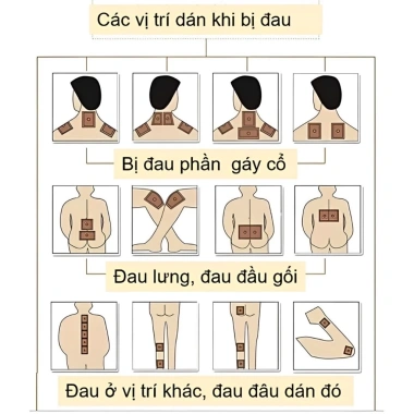 Sỉ 20 Gói Cao Dán Xương Khớp Thảo Dược Tự Nhiên Giảm Giá Bảo Vệ Khớp Chỉ 450.000 VNĐ 6