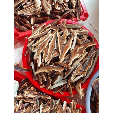 Sỉ 2kg Nấm linh chi rừng (nấm Hồng chi) thái lát - Giá 80.000 VND