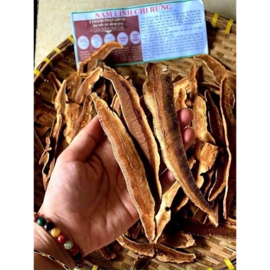 Sỉ 2kg Nấm linh chi rừng (nấm Hồng chi) thái lát - Giá 80.000 VND