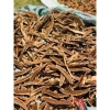 Sỉ 2kg Nấm linh chi rừng (nấm Hồng chi) thái lát - Giá 80.000 VND 7