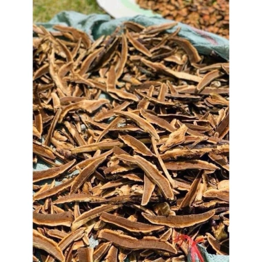 Sỉ 2kg Nấm linh chi rừng (nấm Hồng chi) thái lát - Giá 80.000 VND 7 Sỉ 2kg Nấm linh chi rừng (nấm Hồng chi) thái lát - Giá 80.000 VND 7