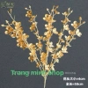SỈ Cành Mai Đào đồng Trang Trí Giỏ Quà Tết - Phụ kiện Deco Tết Minh Quang Mart Giá 17.100₫ 2