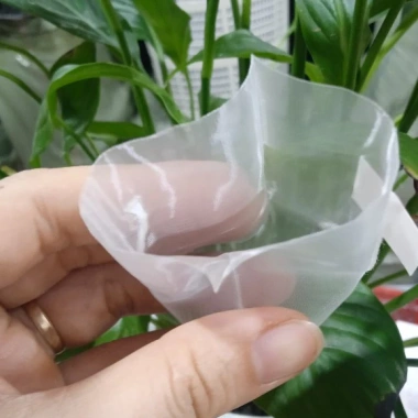 Sỉ Giá Nhà Máy Túi Lọc Trà Thảo Dược Lưới Tam Giác Dây Nhúng Hàn Nhiệt 31.200 VND