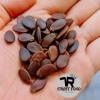 Sỉ Hạt Dưa Mộc Rang Củi Không Nhuộm Màu 500gr - Giá chỉ 117.000 VND 5