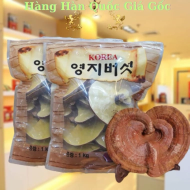 Sỉ Tận Gốc Nấm Linh Chi Đỏ Thượng Hạng 6 Năm Tuổi Hàn Quốc 1kg Giá 999.990 VNĐ