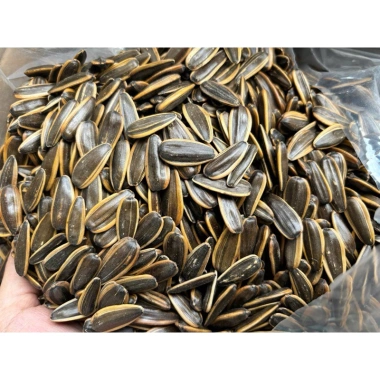 SỈ Thùng 5Kg Hướng dương tẩm vị vụ mới 2.026 - Giá chỉ 105.000đ, tiết kiệm hơn 20% 10 SỈ Thùng 5Kg Hướng dương tẩm vị vụ mới 2.026 - Giá chỉ 105.000đ, tiết kiệm hơn 20% 10