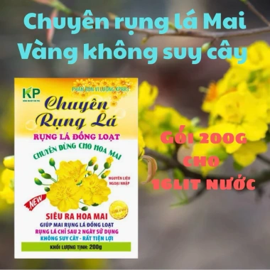 Siêu Rụng Lá Mai 200g - Rụng lá đồng loạt, nụ mập, hoa đẹp, không suy cây, 50k