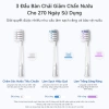 Simplus Pink Bàn Chải Điện 66k Lần/phút 6 Chế Độ 3 Đầu Sạc Từ DDYS008 - 979.000₫ 6
