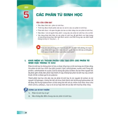 Sinh Học Lớp 10 - Kết Nối Tri Thức, Giá Ưu Đãi 41.000 VNĐ, Nội Dung Đầy Đủ 9 Sinh Học Lớp 10 - Kết Nối Tri Thức, Giá Ưu Đãi 41.000 VNĐ, Nội Dung Đầy Đủ 9