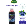 Sinh tố mứt Berino 1L - Hương vị tươi ngon, dinh dưỡng, giá ưu đãi 116.000đ
