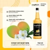 Siro Mơ Nhật Bản Ume Plum LongBeach 740ml - Giá chỉ 104.000₫, giảm từ 127.920, hương thơm ngọt cho đồ uống 2