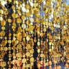 SJJL 10 Dây Hạt Sequin Bạc 1m Lấp Lánh - Treo Rèm Giấy Nhà Cửa, Rèm Tròn Sáng, Giá 102.276 VND