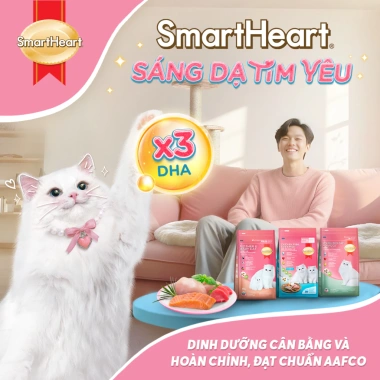 SmartHeart Cat Thức ăn hạt cho mèo 480g Vị gà, cá ngừ, tôm, cá hồi 61.200 VND 4