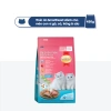 SmartHeart Cat Thức ăn hạt mèo con 450gr - Vị gà, cá, trứng, sữa - 60.300 VND