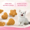SmartHeart Cat Thức ăn hạt mèo con 450gr - Vị gà, cá, trứng, sữa - 60.300 VND 6