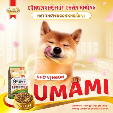 SmartHeart Gold chuẩn Nhật - Thức ăn hạt cừu và gạo cho chó vừa, lớn 1kg, tặng 2 bịch nhỏ, giá ưu đãi 141.300đ