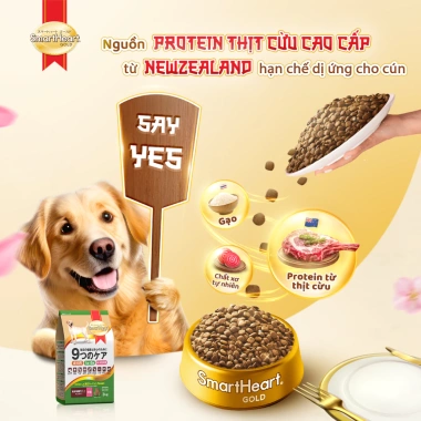 SmartHeart Gold chuẩn Nhật - Thức ăn hạt cừu và gạo cho chó vừa, lớn 1kg, tặng 2 bịch nhỏ, giá ưu đãi 141.300đ