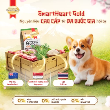 SmartHeart Gold chuẩn Nhật - Thức ăn hạt cừu và gạo cho chó vừa, lớn 1kg, tặng 2 bịch nhỏ, giá ưu đãi 141.300đ