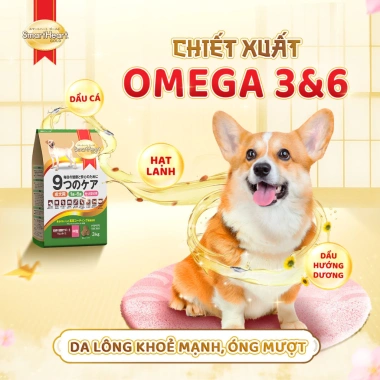 SmartHeart Gold Thức ăn chó chuẩn Nhật hạt vị cừu và gạo 3kg - Dành cho gống vừa, lớn - Giá chỉ 394.200đ