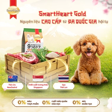 SmartHeart Gold Thức ăn chó chuẩn Nhật hạt vị cừu và gạo cho chó giống nhỏ 60gr Giá ưu đãi 200k
