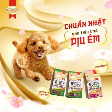 SmartHeart Gold Thức ăn chó chuẩn Nhật hạt vị cừu và gạo cho chó giống nhỏ 60gr Giá ưu đãi 200k