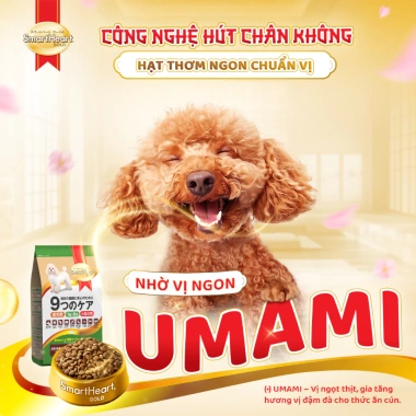SmartHeart Gold Thức ăn chó hạt nhỏ vị cừu gạo 1kg - Tặng 2 bịch, 146.700₫ 5