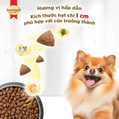 SmartHeart Gold Thức ăn hạt cho chó giống nhỏ nuôi trong nhà 1kg - Tặng 2 gói, giảm 22% 6