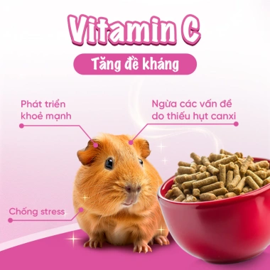 Smartheart Thức ăn cho bọ ú, hamster, thỏ, Chinchilla, sóc, chuột lang - Dinh dưỡng đầy đủ, 84.600 VND