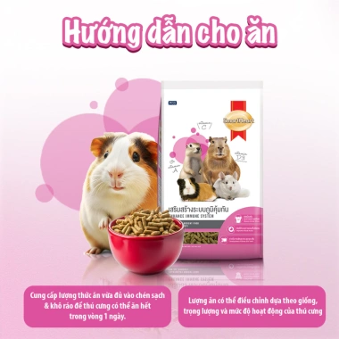 Smartheart Thức ăn cho bọ ú, hamster, thỏ, Chinchilla, sóc, chuột lang - Dinh dưỡng đầy đủ, 84.600 VND 9 Smartheart Thức ăn cho bọ ú, hamster, thỏ, Chinchilla, sóc, chuột lang - Dinh dưỡng đầy đủ, 84.600 VND 9