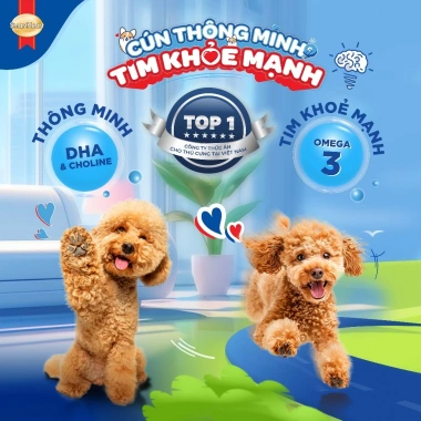 SmartHeart Thức ăn hạt cho chó giống nhỏ 2,7kg - Tặng nón + yếm - Giá chỉ 219.600 VND