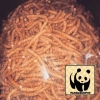 Snack Quẩy Sâu Đường Hương Gừng 500g Túi Zip - Đồ Ăn Vặt Tuổi Thơ Giá 15.000 VND 3