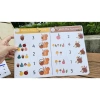 Số & Lượng 1-10 – Phiếu Đếm IN Bìa Viết Xóa, Tặng 2 Bút, Giá Ưu Đãi 130k 2