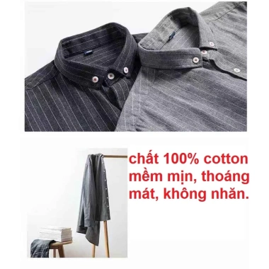Sơ mi nam dài tay sọc tăm nhiều màu chất cotton MT Group - Giá chỉ 119.000₫
