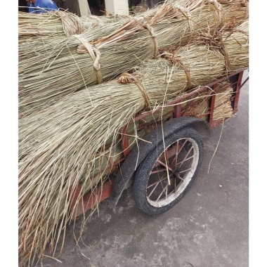 Sợi Cói Tự Nhiên 500gr và Chất Lượng Cao, Đa Dụng, Giá Ưu Đãi 50.000₫