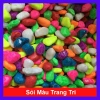 Sỏi Màu 600g Trang Trí Chậu Cây, Bể Cá, Sân Vườn - Giá Ưu Đãi 19.000đ