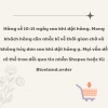 Son bấm Supershades Universe Dash Click Thái Lan - Son Tint Chính Hãng, giảm giá tới 23% chỉ 163.300₫ 4