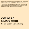 Sơn Bóng Mờ X-Paint S1.100 - Đẹp, Bền Màu Cao, Chống Bụi, Chống Rêu Mốc - 225.700 VND 34