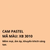 Sơn Bóng Nội Thất Cao Cấp X-Paint Plus - Chống Thấm, Bám Bụi, Rêu Mốc, Giá Ưu Đãi 279.840₫ 24